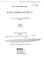 A Manual for Parti Runtime ...
