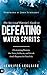The Spiritual Warrior's Guide to Defeating Water Spirits