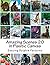 Amazing Scenes 20: in Plast...