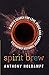 Spirit Brew: A Man's Search...