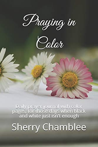 Praying in Color: Daily prayer journal with color pages, for those days when black and white just isn't enough (Monthly Prayer Journal)