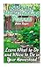 Backyard Homesteading Planner: Learn What to Do and When to Do in Your Homestead: (Homesteading Calendar, Farming)