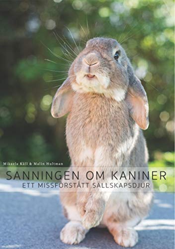 Sanningen om kaniner (Paperback)