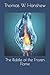 The Riddle of the Frozen Flame