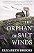 The Orphan of Salt Winds (Thorndike Press Large Print Reviewers' Choice)