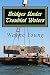 Bridges Under Troubled Wate...