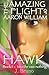 Into the Vast Nothing (The Amazing Flight of Aaron William Hawk, #1)