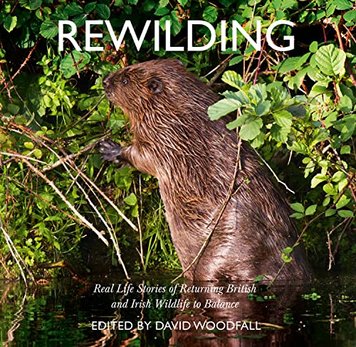 Rewilding: Real Life Stories of Returning British and Irish Wildlife to Balance (Paperback)
