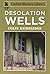 Desolation Wells (Linford Western Library)