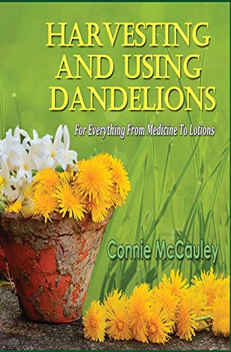 Harvesting And Using Dandelions: For Everything From Medicine To Lotions (Paperback)