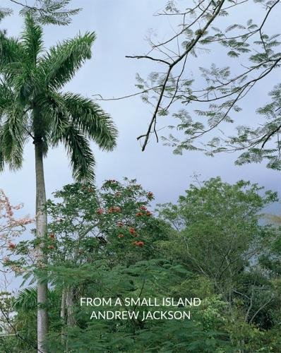 From a Small Island: Andrew Jackson (Paperback)
