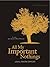 All My Important Nothings by Maura Dooley