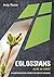 Colossians by Andy Mason