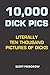 10,000 Dick Pics: Literally Ten Thousand Pictures of Dicks