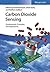 Carbon Dioxide Sensing: Fundamentals, Principles, and Applications