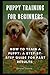 Puppy Training For Beginner...