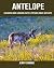 Childrens Book by Jerry Simone