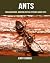 Childrens Book by Jerry Simone
