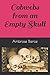 Cobwebs from an Empty Skull