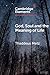God, Soul and the Meaning of Life (Elements in the Philosophy of Religion)