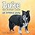 Luke the Border Collie: My ...