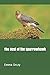 The Nest of the Sparrowhawk