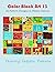Color Block Art 13: 25 Pattern Designs in Plastic Canvas