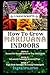 How to Grow Marijuana Indoo...