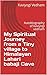 My Spiritual Journey from a Tiny village to Himalayan Lahari ... by Kaviyogi Vedham