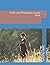 Pride and Prejudice: Large Print