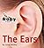 The Ears (Body Parts)