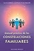 Manual práctico de constelaciones familiares by Alejandra Mitnik Fischman