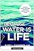 Because Water is Life by Gary L. Chamberlain