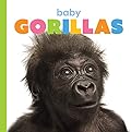 Baby Gorillas