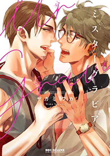 Mister Gravure (Paperback)