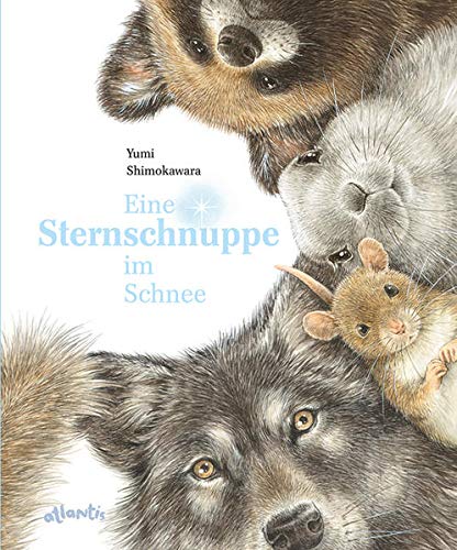 Eine Sternschnuppe im Schnee (Hardcover)