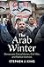 The Arab Winter: Democratic Consolidation, Civil War, and Radical Islamists