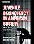 Juvenile Delinquency in Ame...