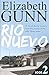 Rio Nuevo: Formerly New River Blues (A Sarah Burke Mystery)