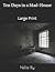 Ten Days in a Mad-House: Large Print