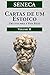 Cartas de um Estoico, Volume II by Seneca