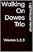 Walking On Dawes Trio