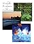 Nicholas Bridgman Collection
