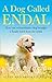 A Dog Called Endal: How One...