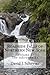 Roadside Falls of Northern New York Volume 2 the Adirondacks