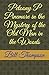 Petoony P Pinemore in the Mystery of the Old Man in the Woods by Bill Thompson