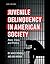 Juvenile Delinquency in Ame...