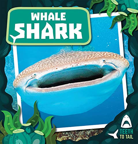 Whale Shark (Paperback)