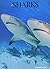 Sharks