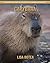 Capybara: Amazing Pictures & Fun Facts on Animals in Nature